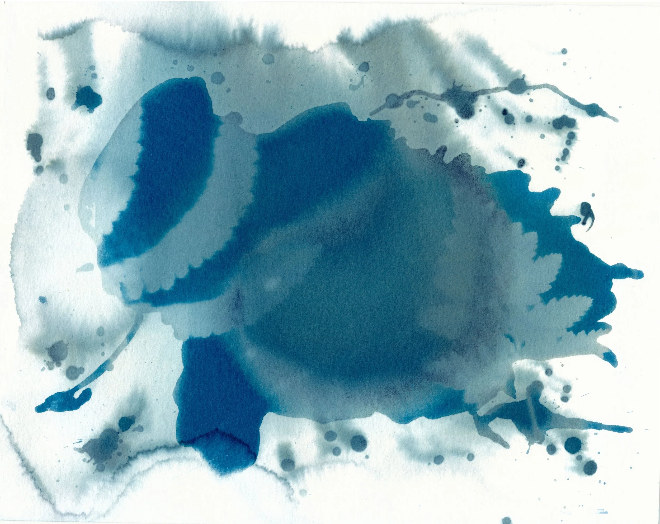 DANIELS-241003-CYANOTYPE-SCANS-0004.jpg