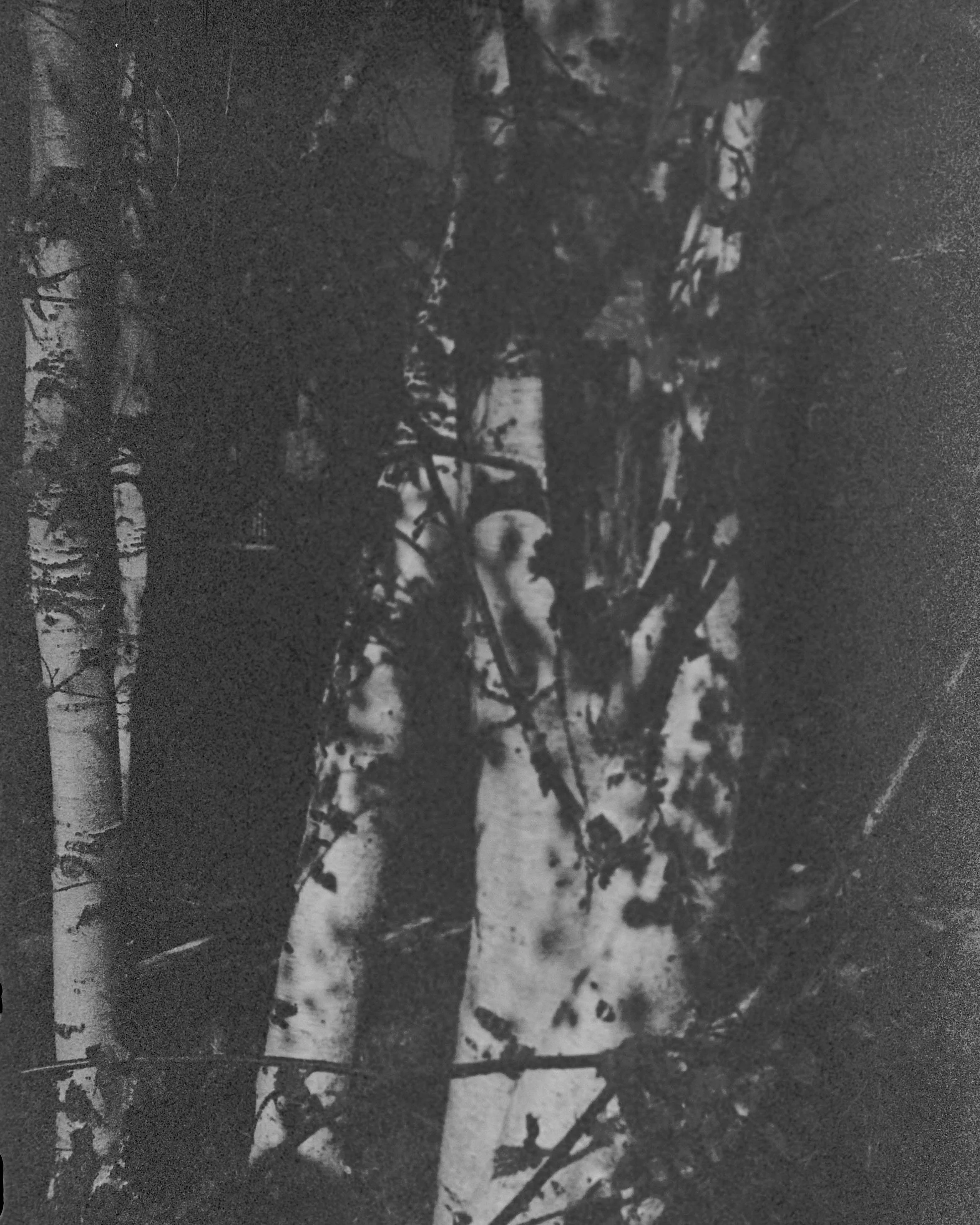 DANIELS-230606-FILM-DUMP-37.jpg