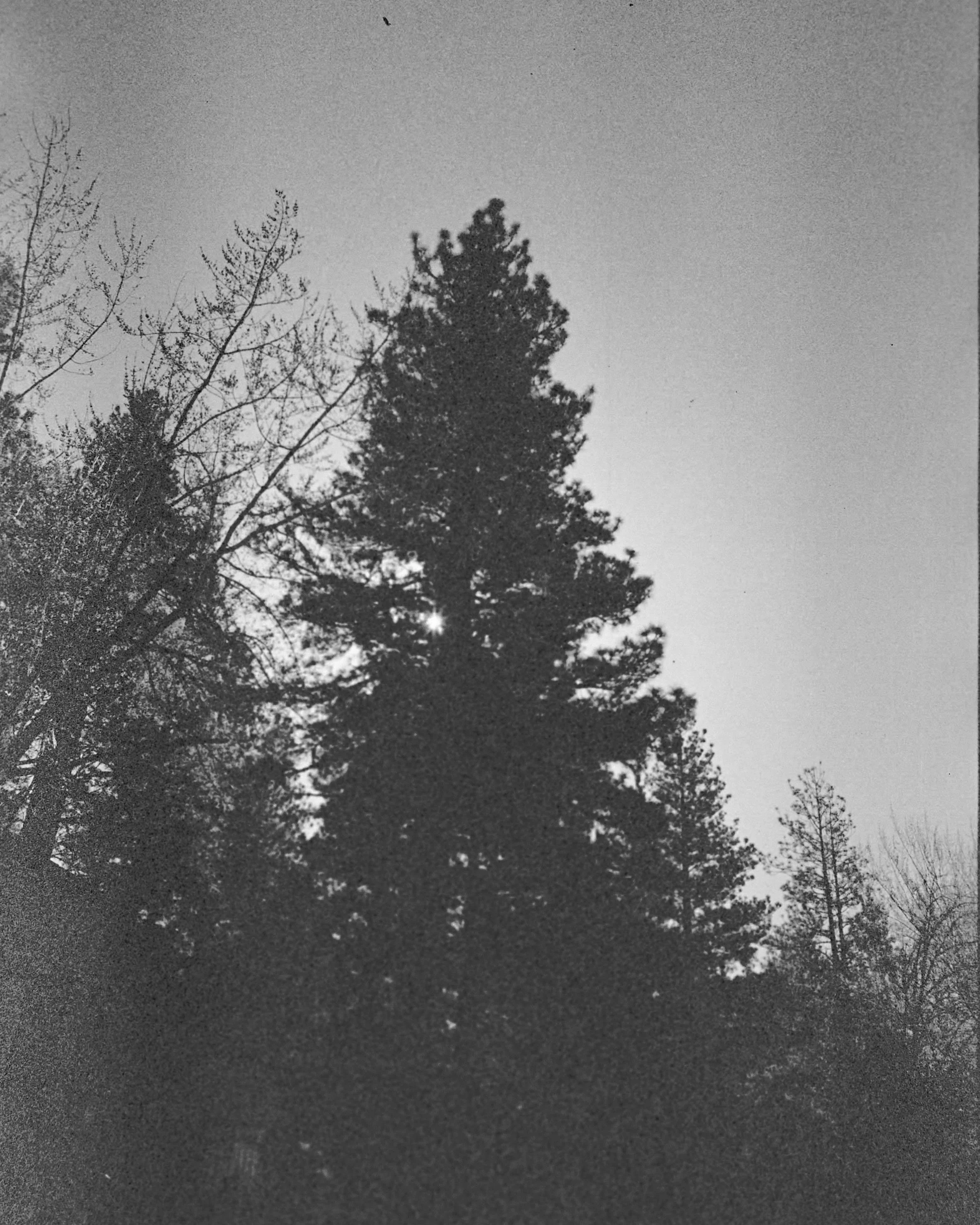 DANIELS-230606-FILM-DUMP-19.jpg