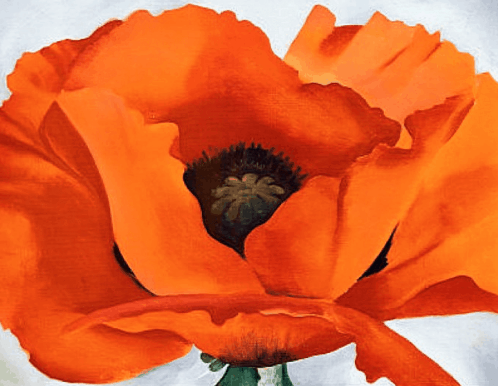 Poppies, Georgia O’Keeffe