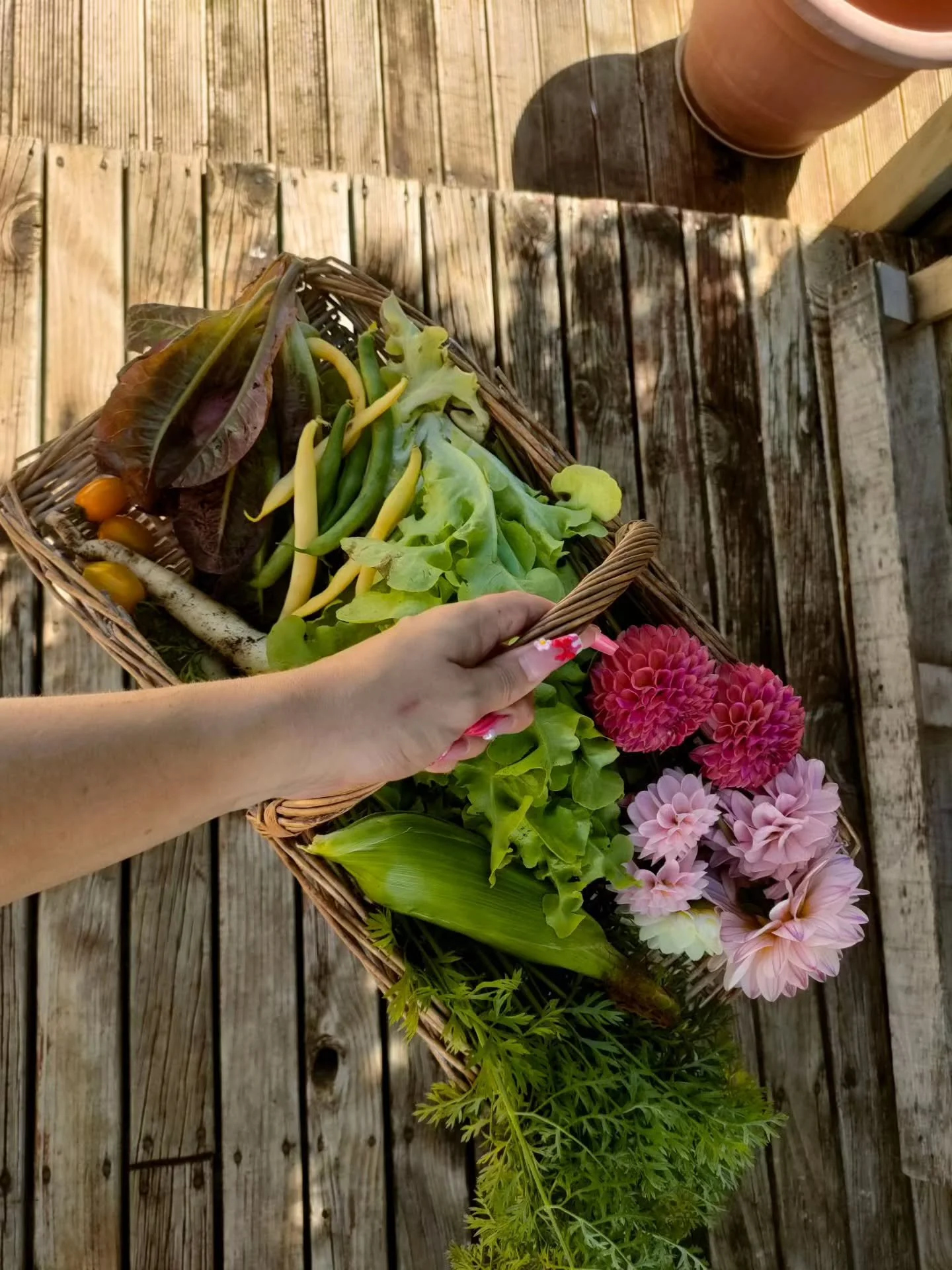 2026 BABY 🥵

It's been 3.5 weeks of resetting in the spiritual foetal position 😂 but in the most absolutely BEAUTIFUL way held by so much love, sun and sea water 🩷

&amp; now I'm BAAAACK! to create some BEAUTIFUL nails for you guys!

Don't forget 