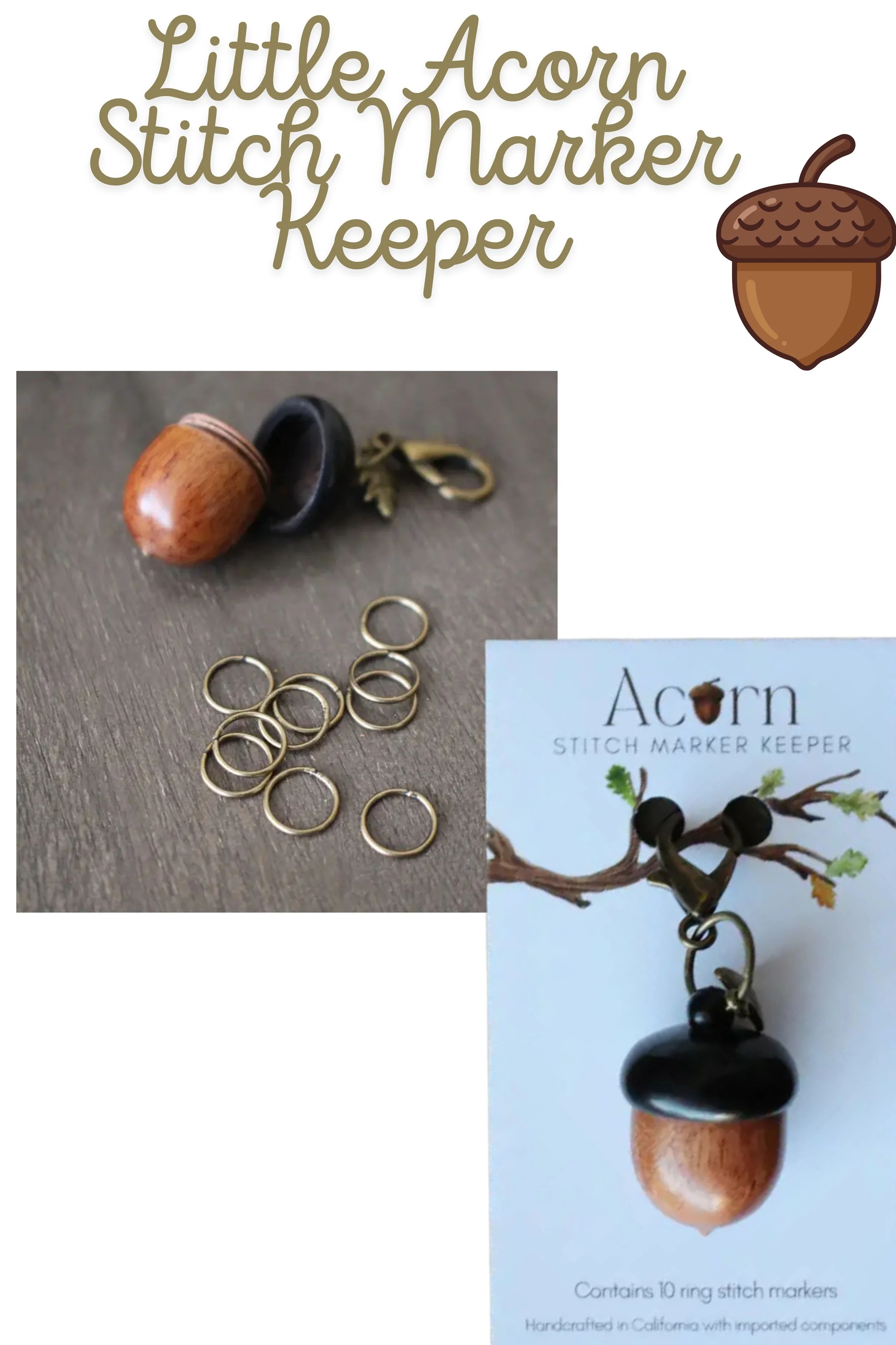 acorn.jpg