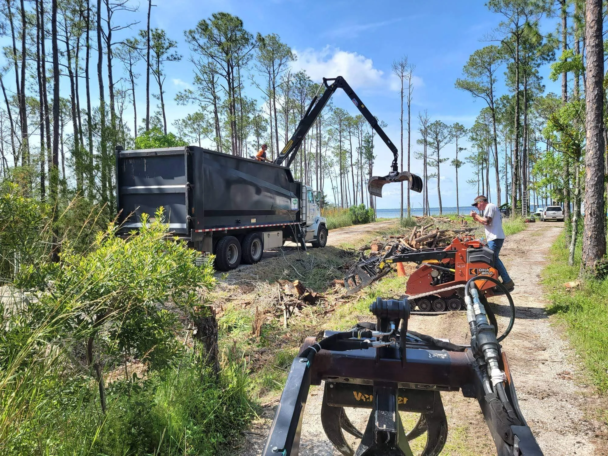schnellogger tree service_1 (3).jpeg
