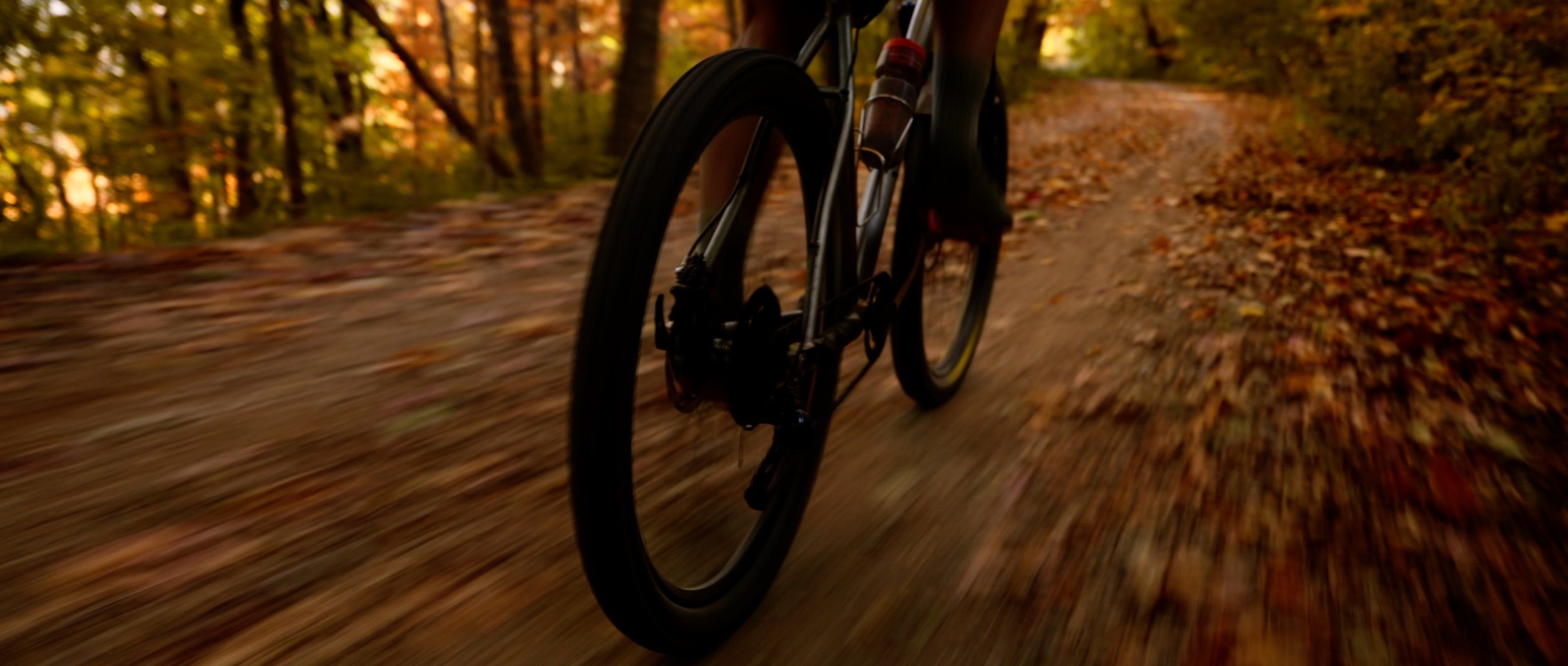 MTB Trail 5.jpg