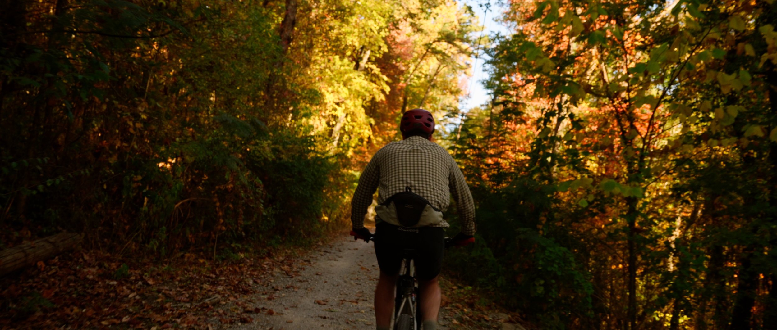 MTB Trail 3.jpg