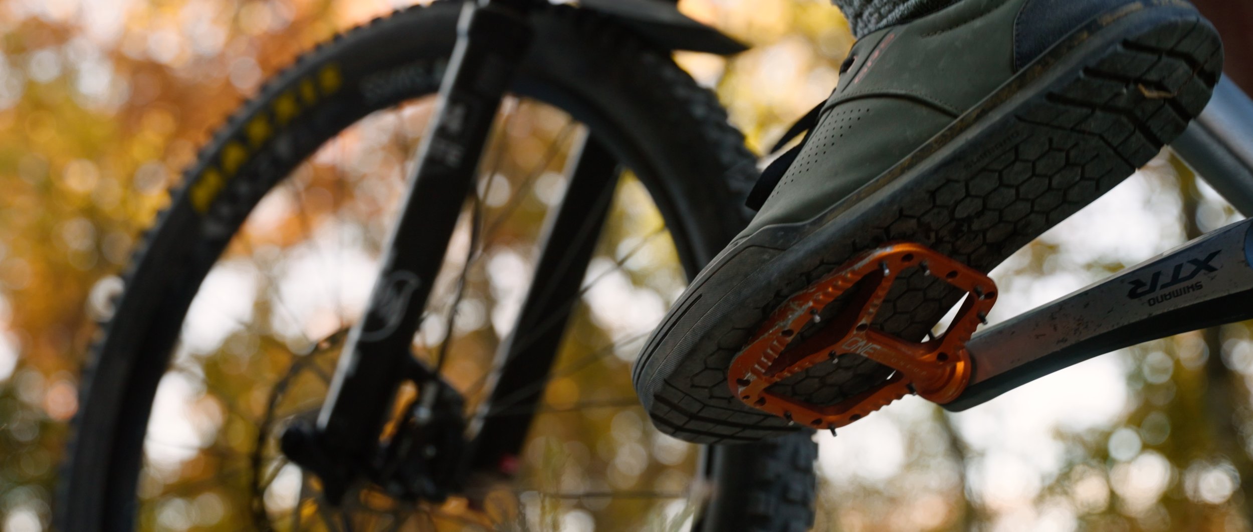 MTB Trail 4.jpg