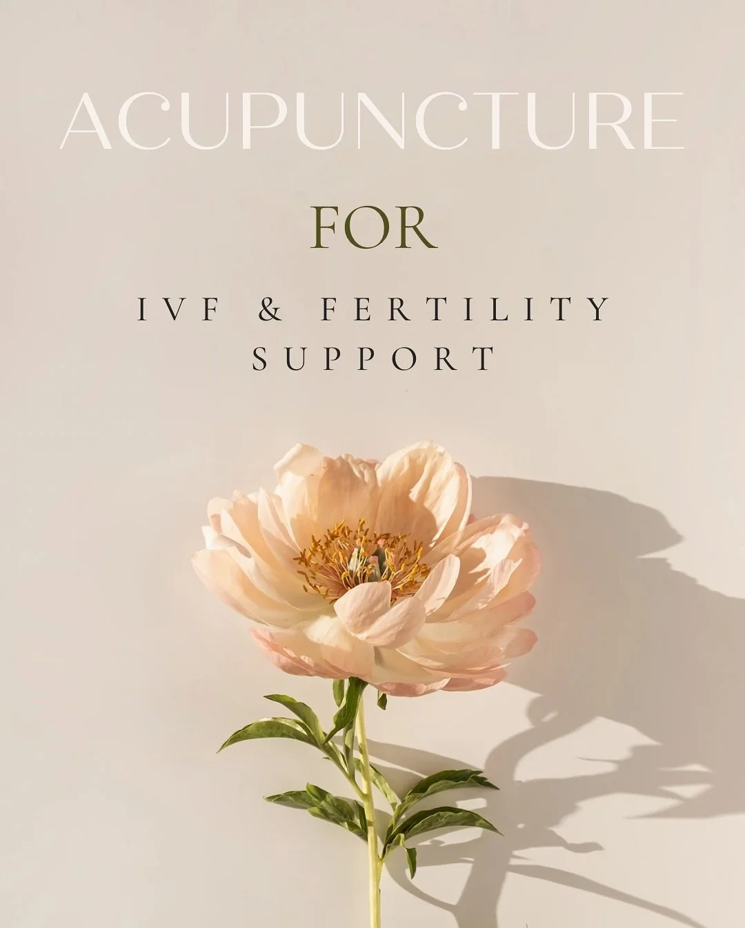 Exploring fertility support or preparing for IVF? 

Acupuncture can support your journey by helping regulate cycles, reduce stress, and improve blood flow for optimal reproductive health. At OC Well Studio, Shannon brings over 20 years of experience 