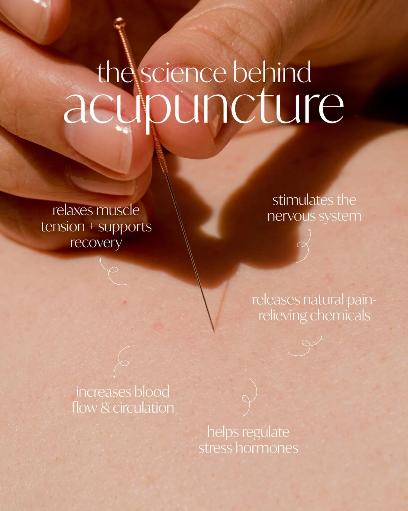 Acupuncture works by creating a chain reaction within the body. When specific points are stimulated, the nervous system responds by sending signals that may help increase circulation, release muscle tension, support recovery, regulate stress hormones