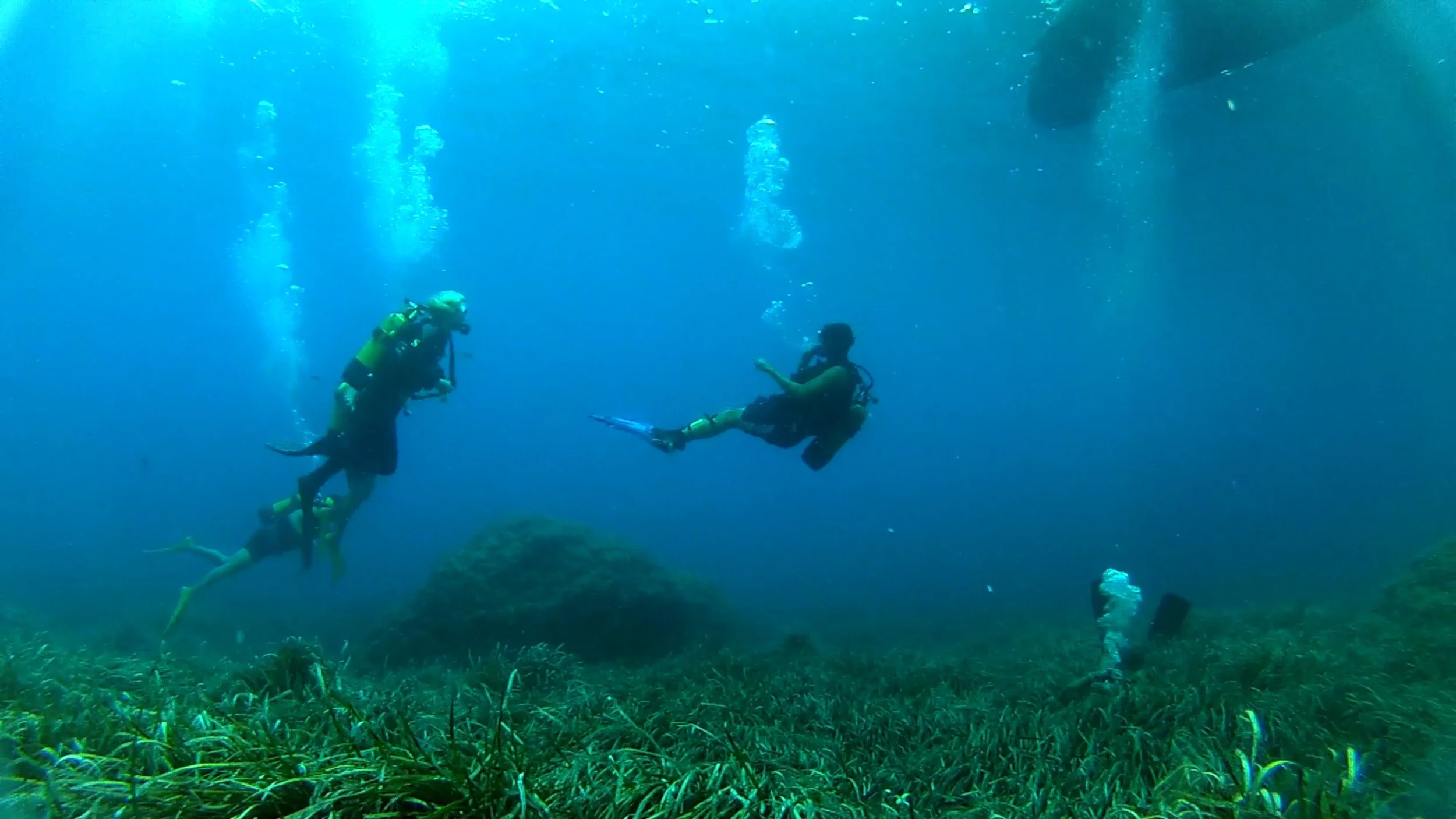 Taucher unter Wasser, schwimmen über Seegras, im blauen Wasser mit Sonnenlicht.