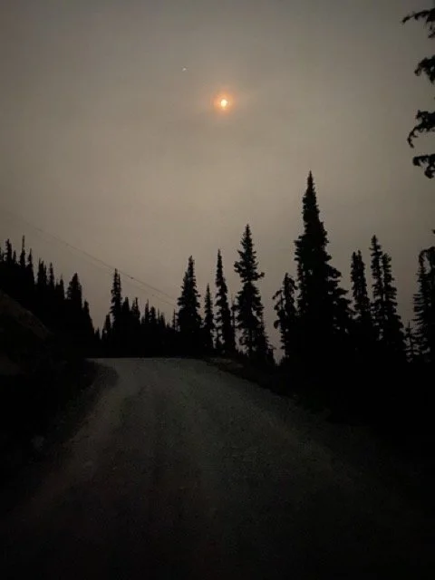 IMG_6364 Medium.jpeg