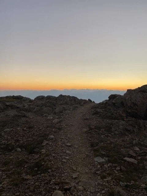 IMG_6341 Medium.jpeg