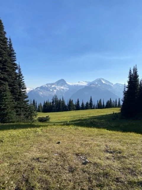 IMG_6253 Medium.jpeg