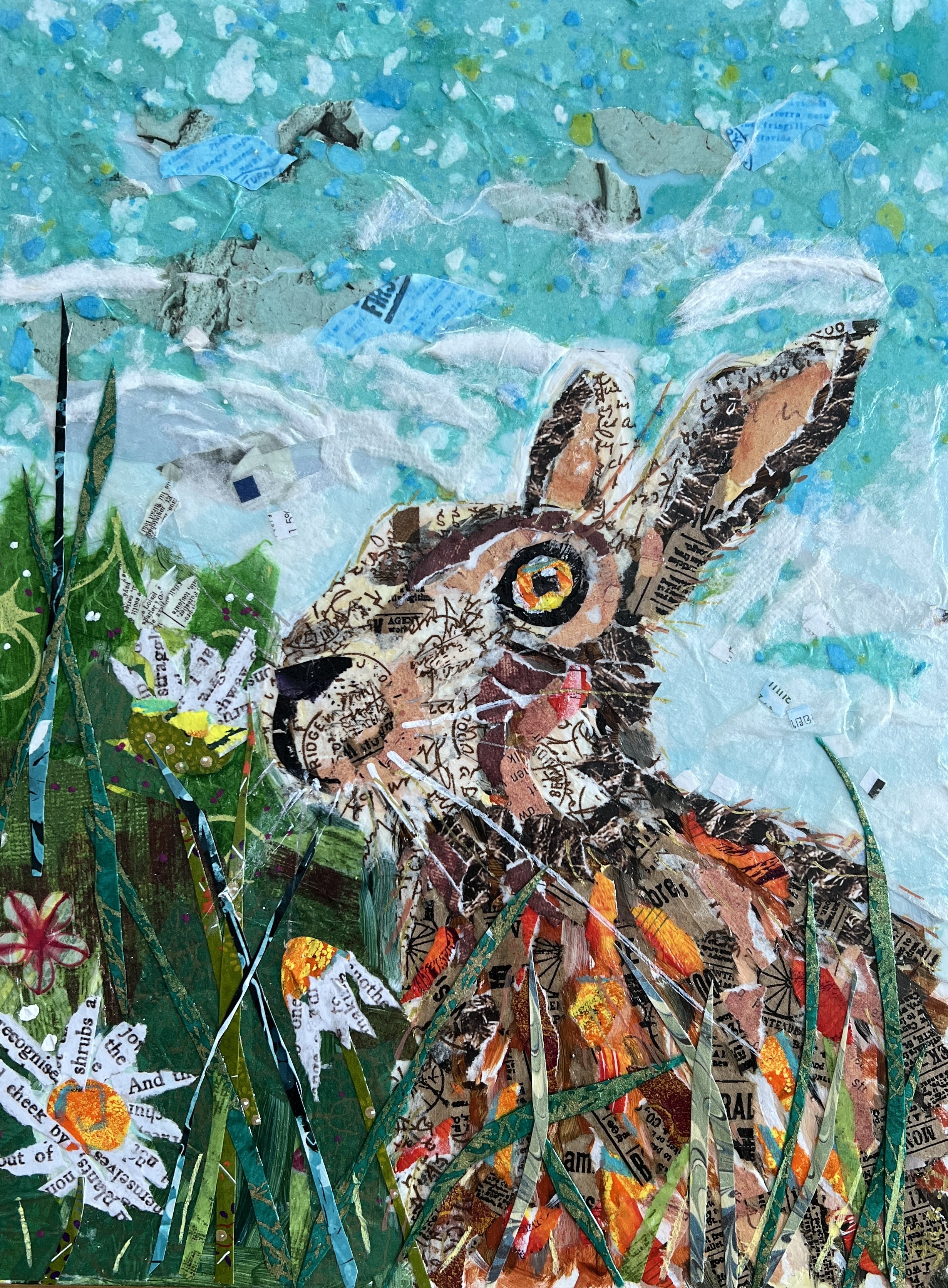 Hare today