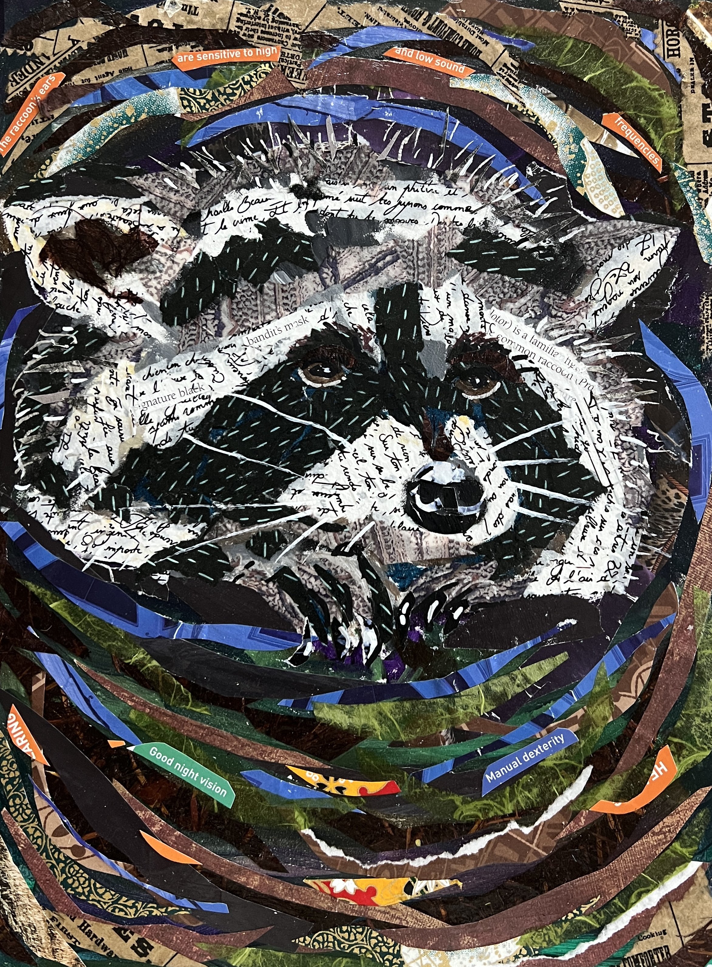 Ricky raccoon