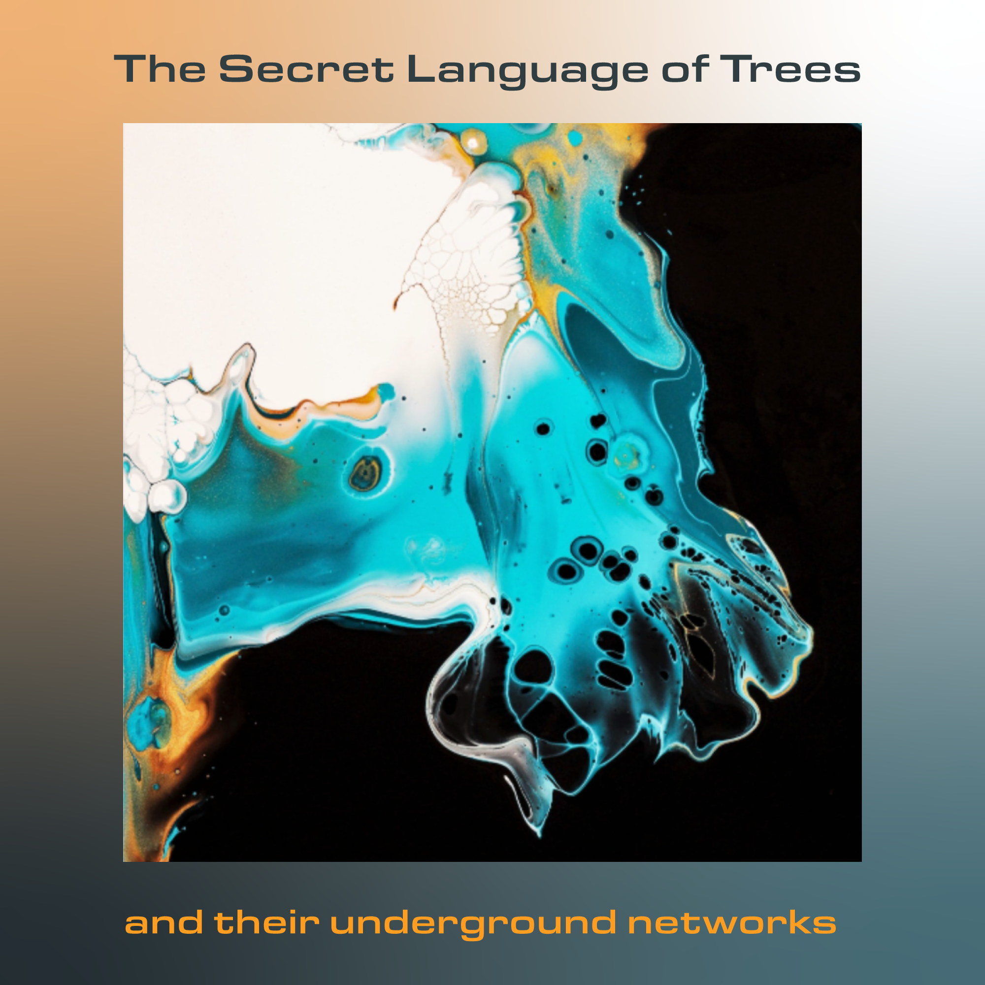 The Secret Language of Trees