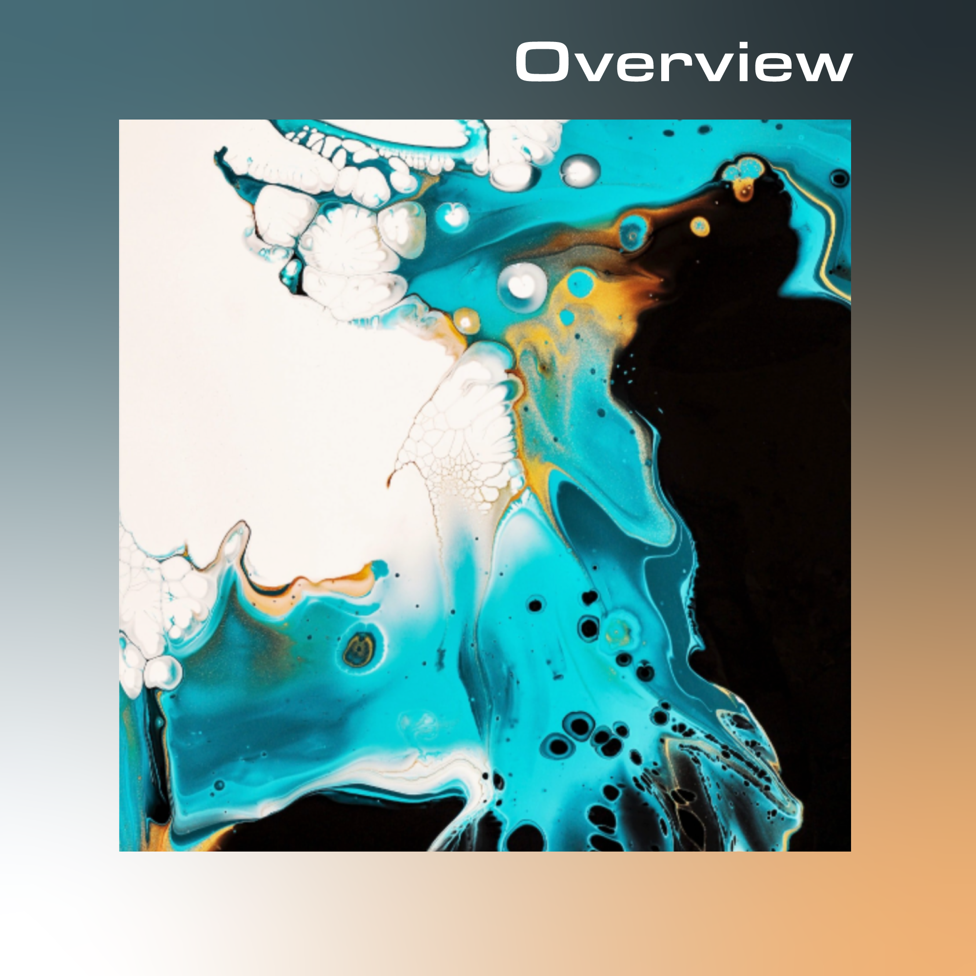 Overview