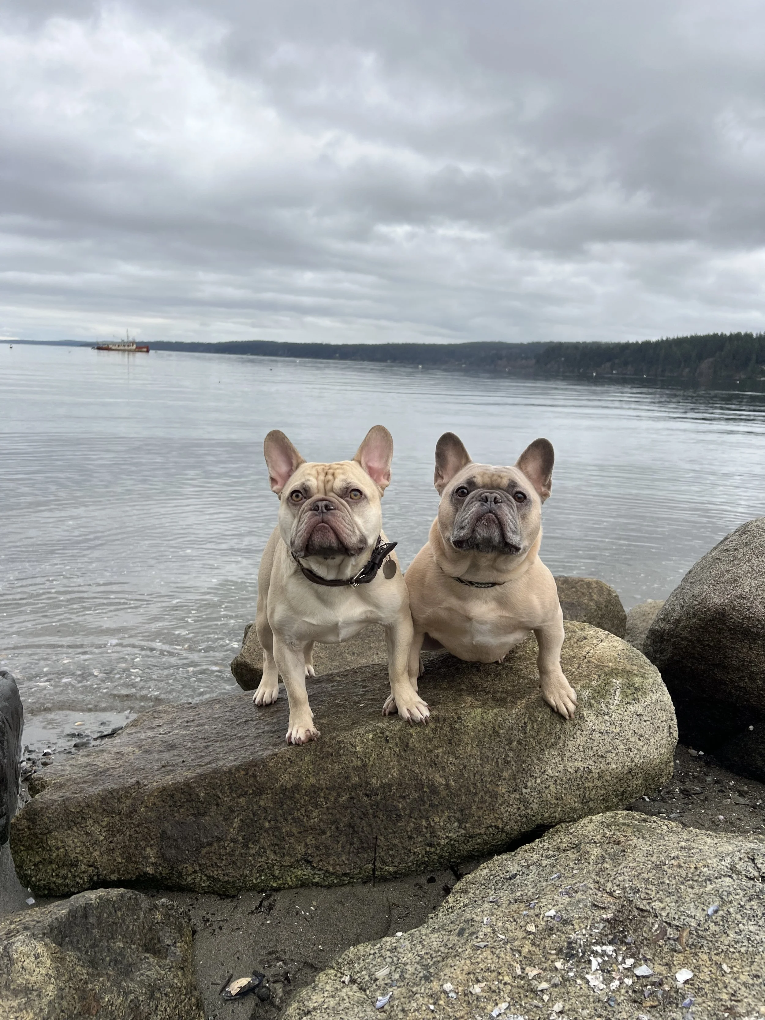 IMG_2734 - Baylee Northup.jpeg