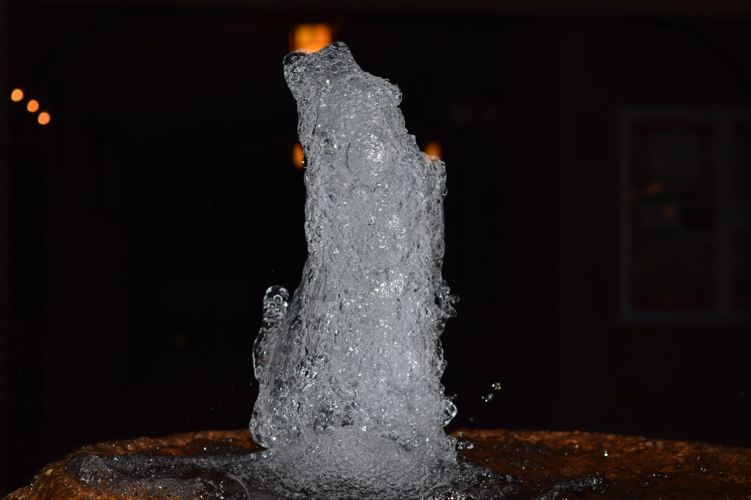 DSC_0184.jpg