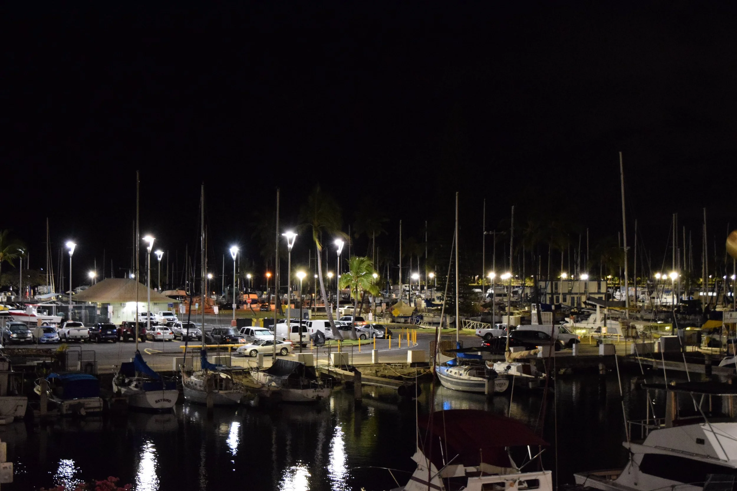 DSC_0180.jpg