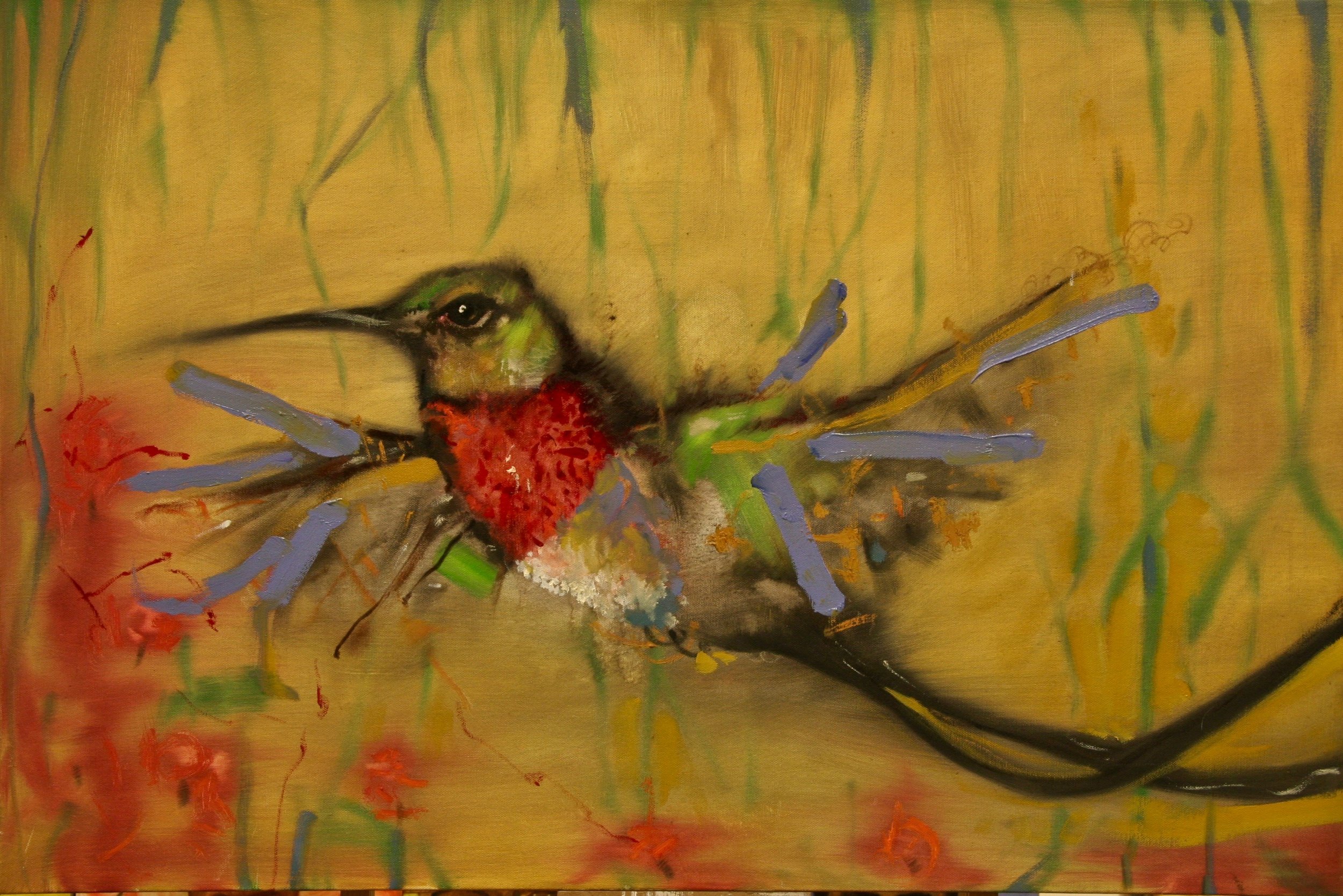 Hummingbird