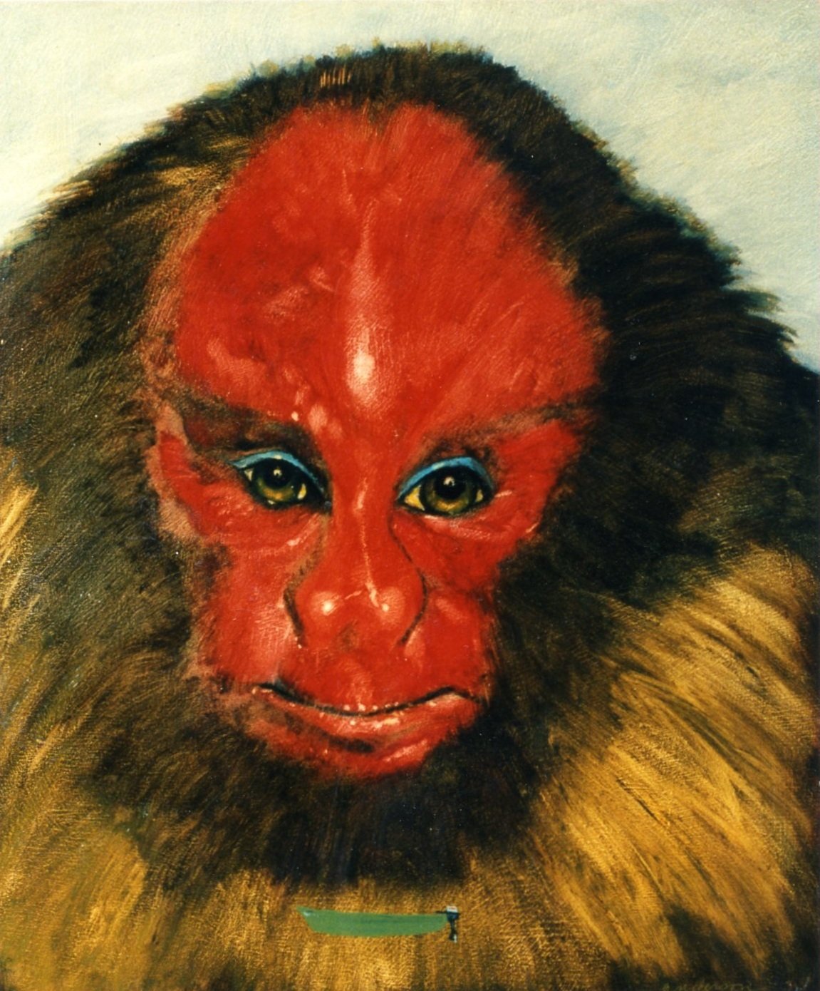 Uakari