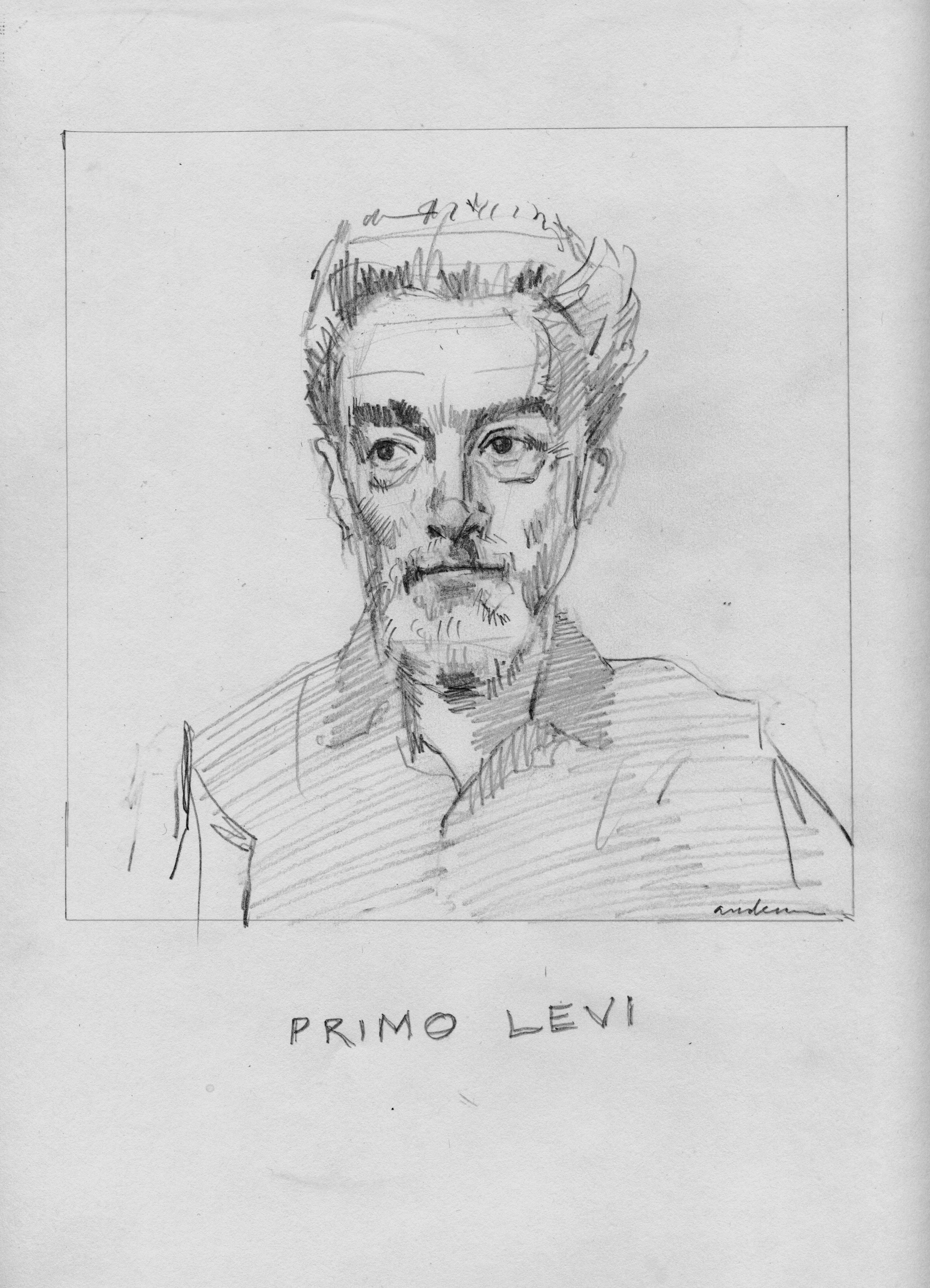 Primo Levi by Tim Anderson.jpeg