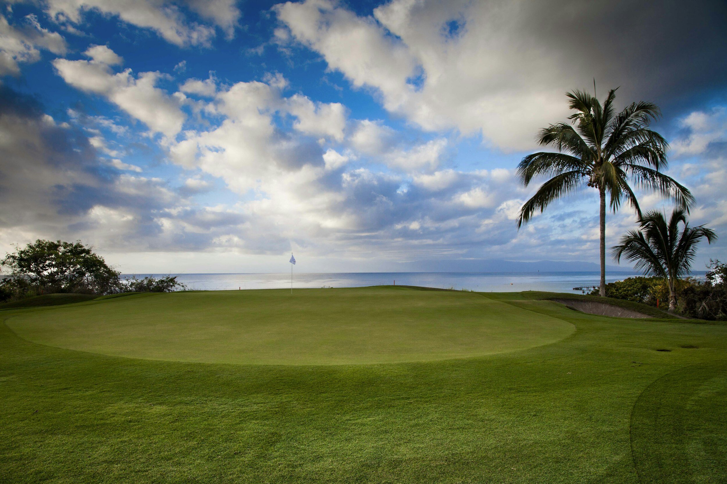 Golf course green with ocean view and palm trees.