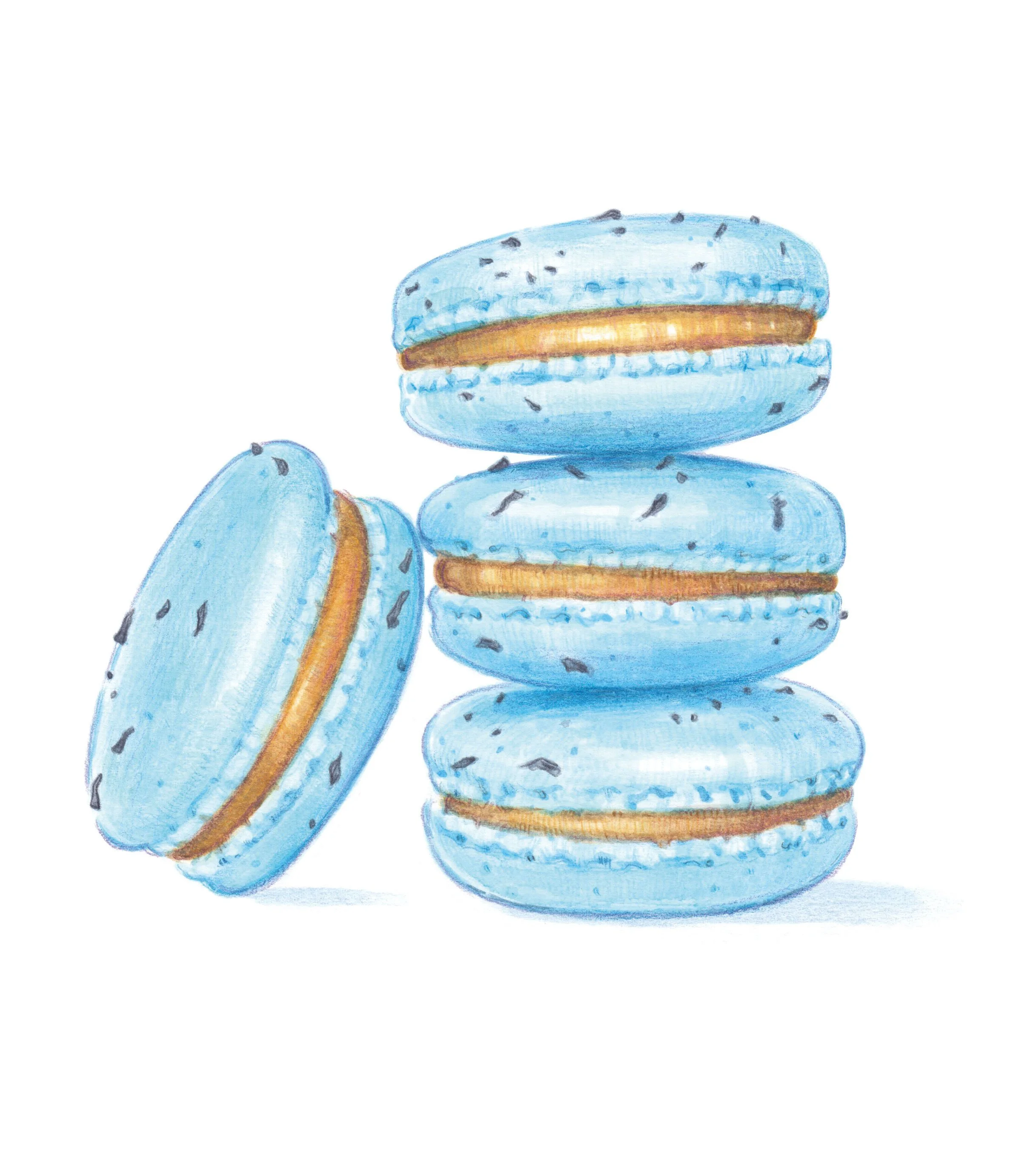 Macarons Marie-Antoinette, illustration tirée du Petit livre ed Pâtisserie Ladurée, Editions du Chêne