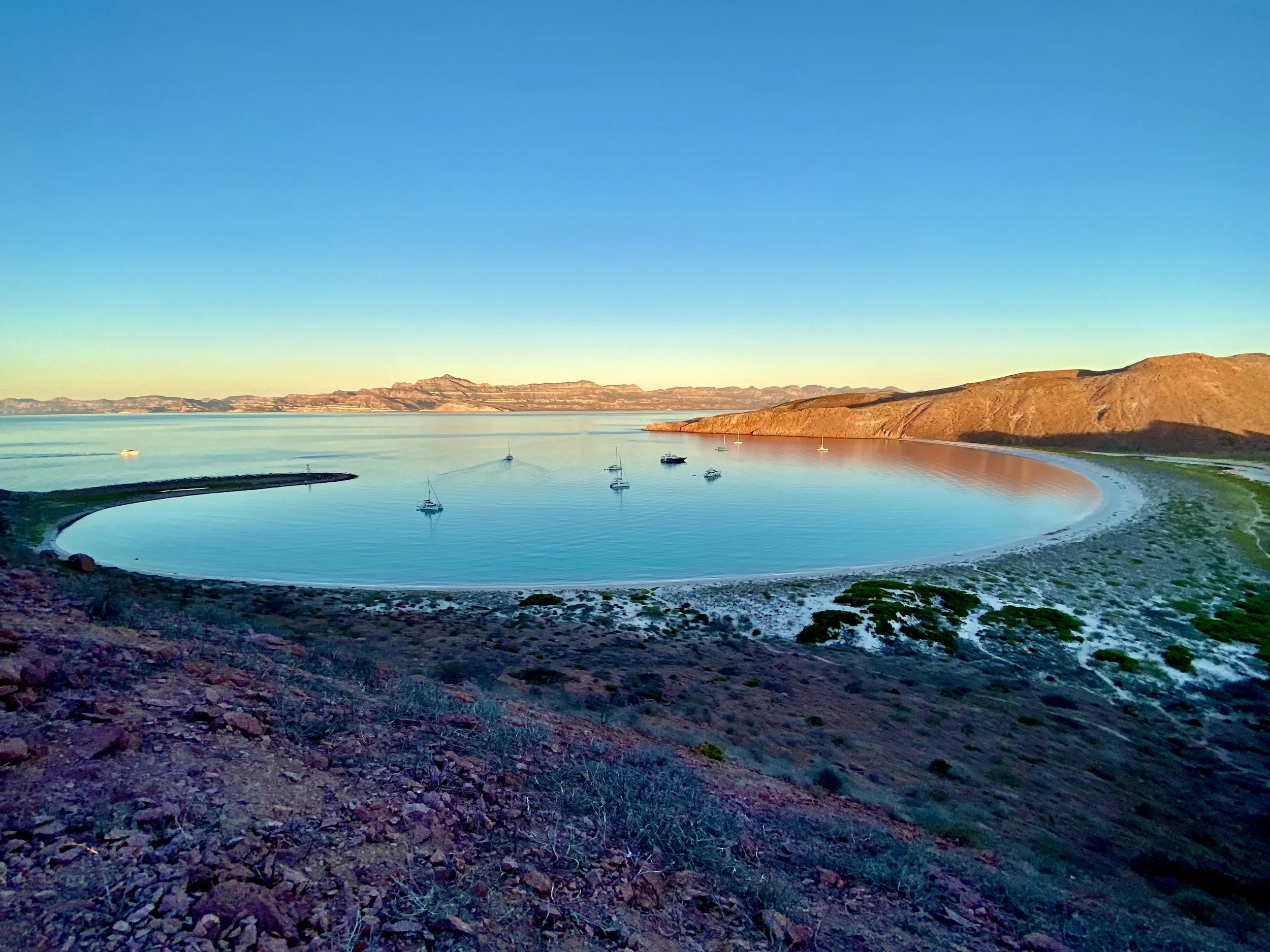 Isla San Francisco 