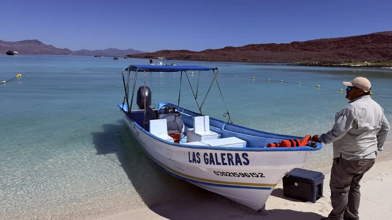 The Panga