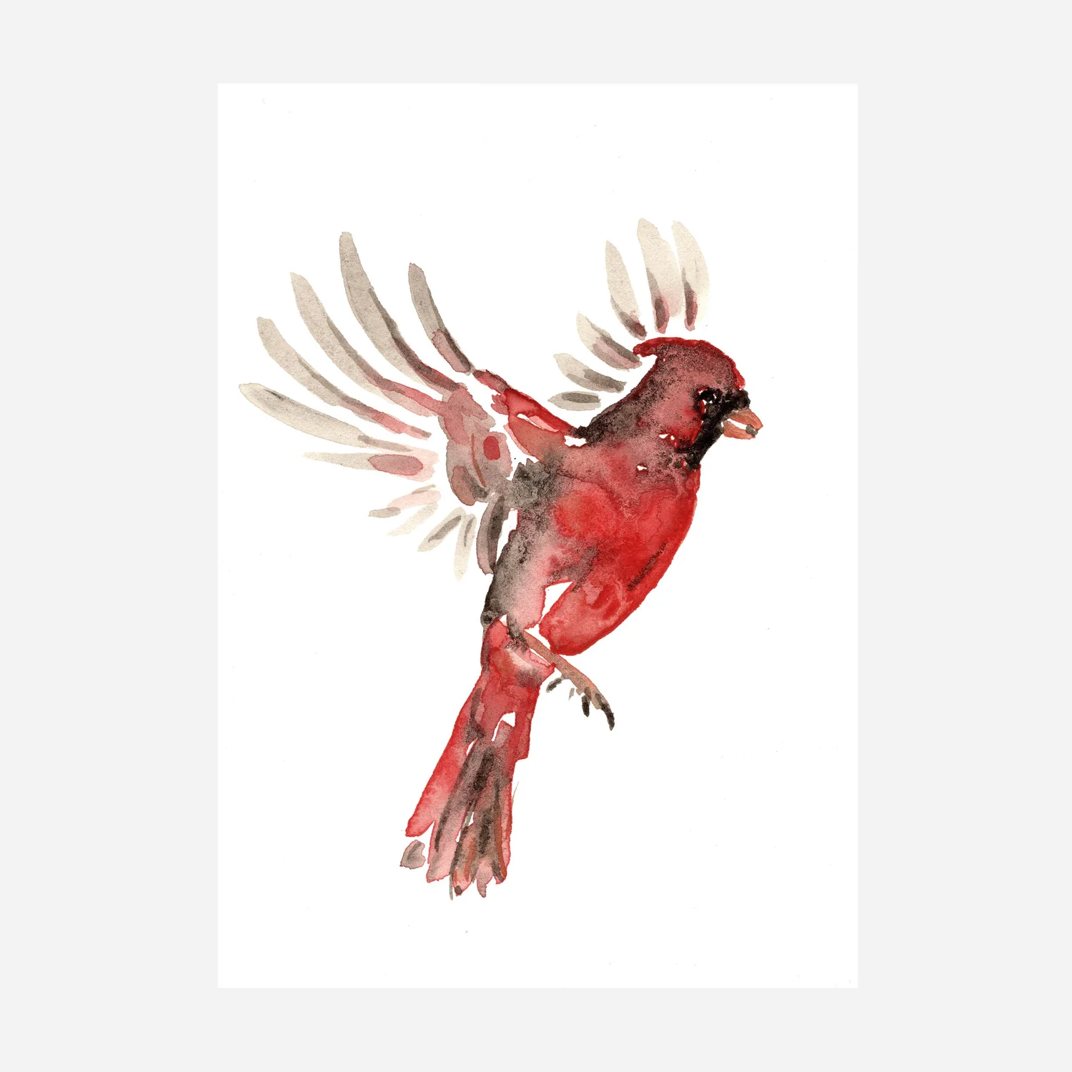 Cardinal Flying Tattoo Cardinal Wings Stock Illustrations – 1,040