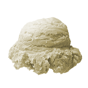 Ice Cream Gainesville FL