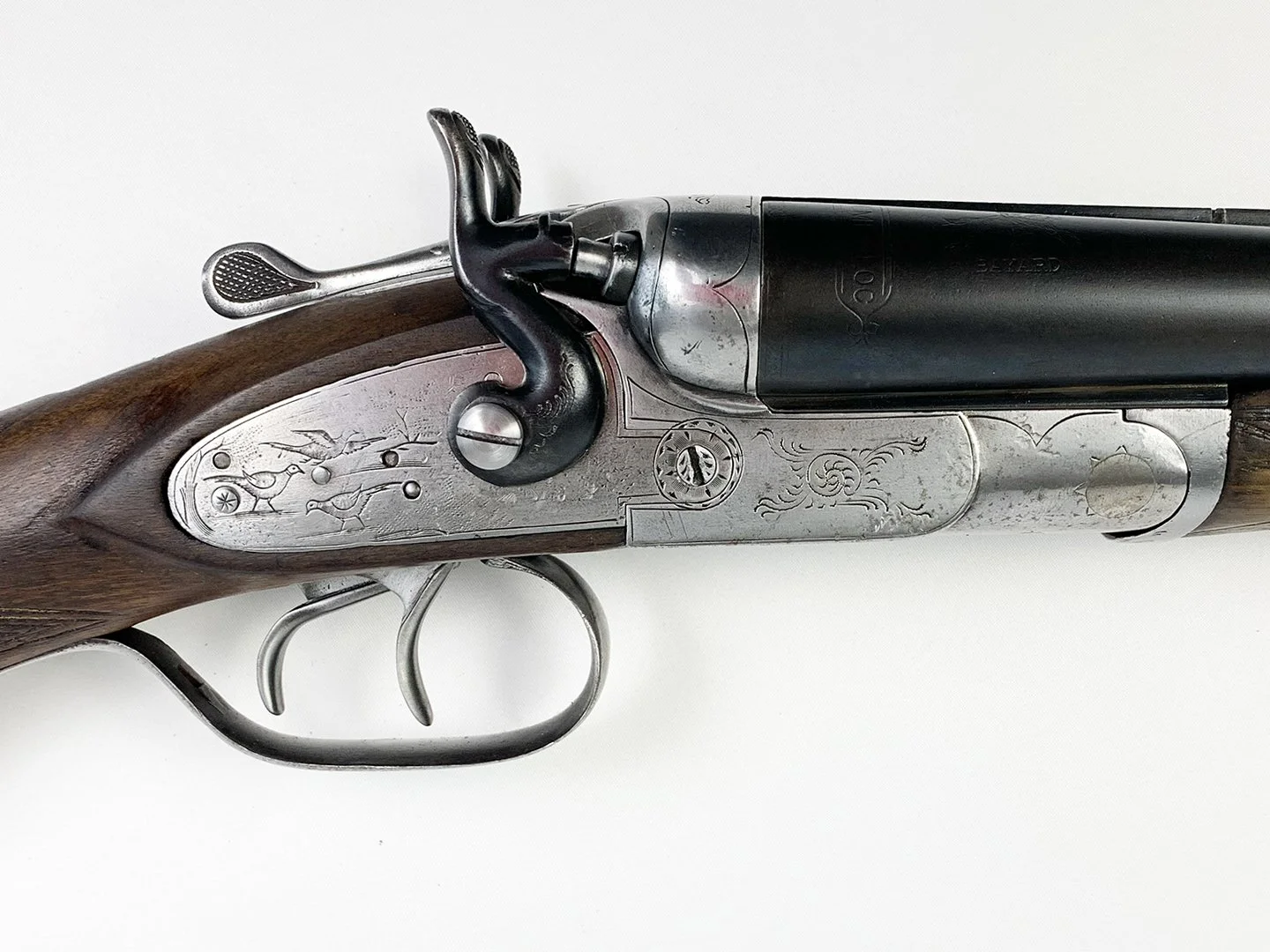 A_Piper_6.jpg