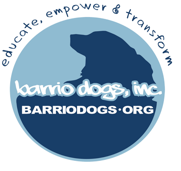 Social Media Intern - Barrio Dogs