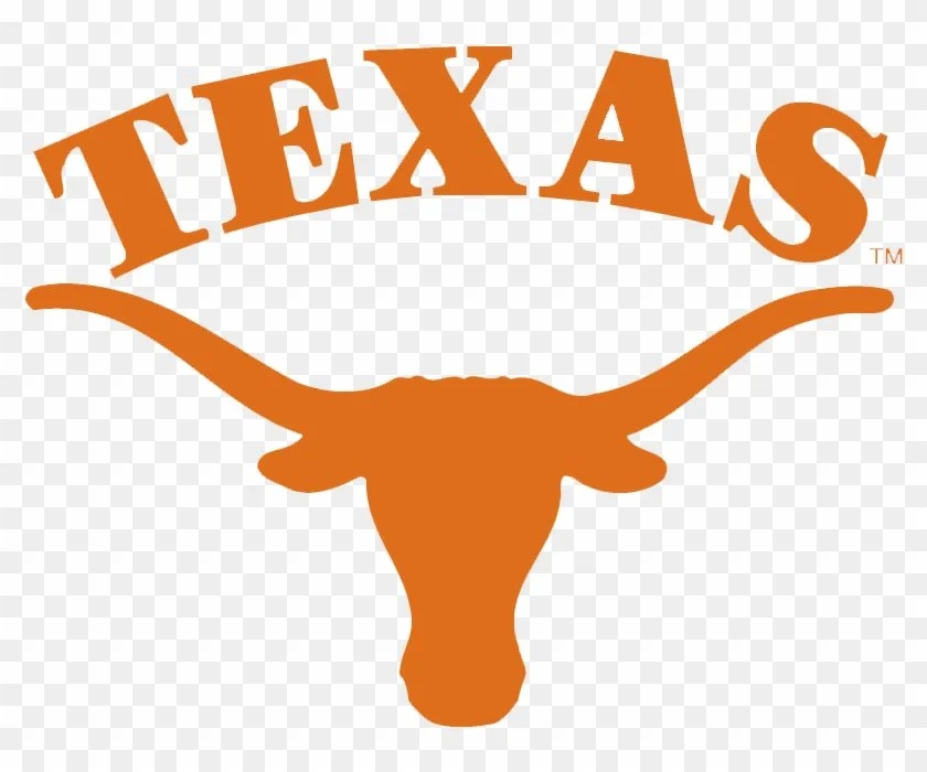 Texas Civic Ambassadors Program