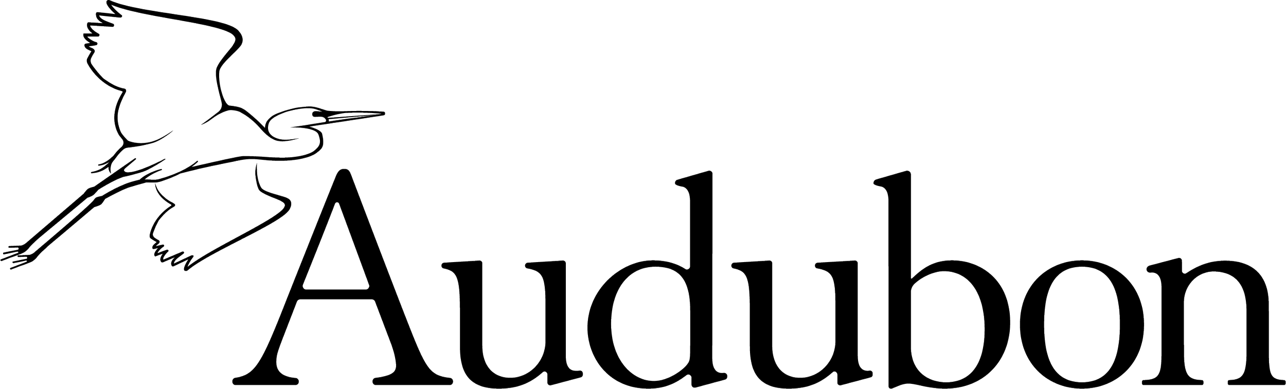 Engagement &amp; Communications Intern - The National Audubon Society