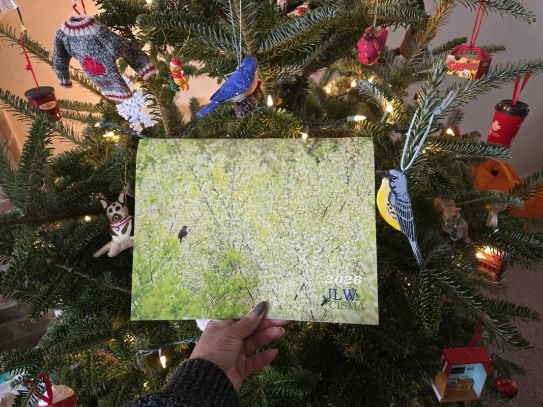 2026 Invasive Species Calendar Front.jpg