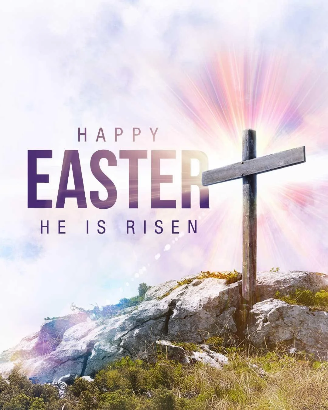 Happy Easter 🐣💛
Grateful for our amazing customers and community&mdash;thank you for being part of our story as we head into our 25th anniversary! 

✨🍰#HappyEaster #Grateful #PalermoBakery #25YearsSweet #AnniversaryYear #FamilyBakery #ChicagoBaker