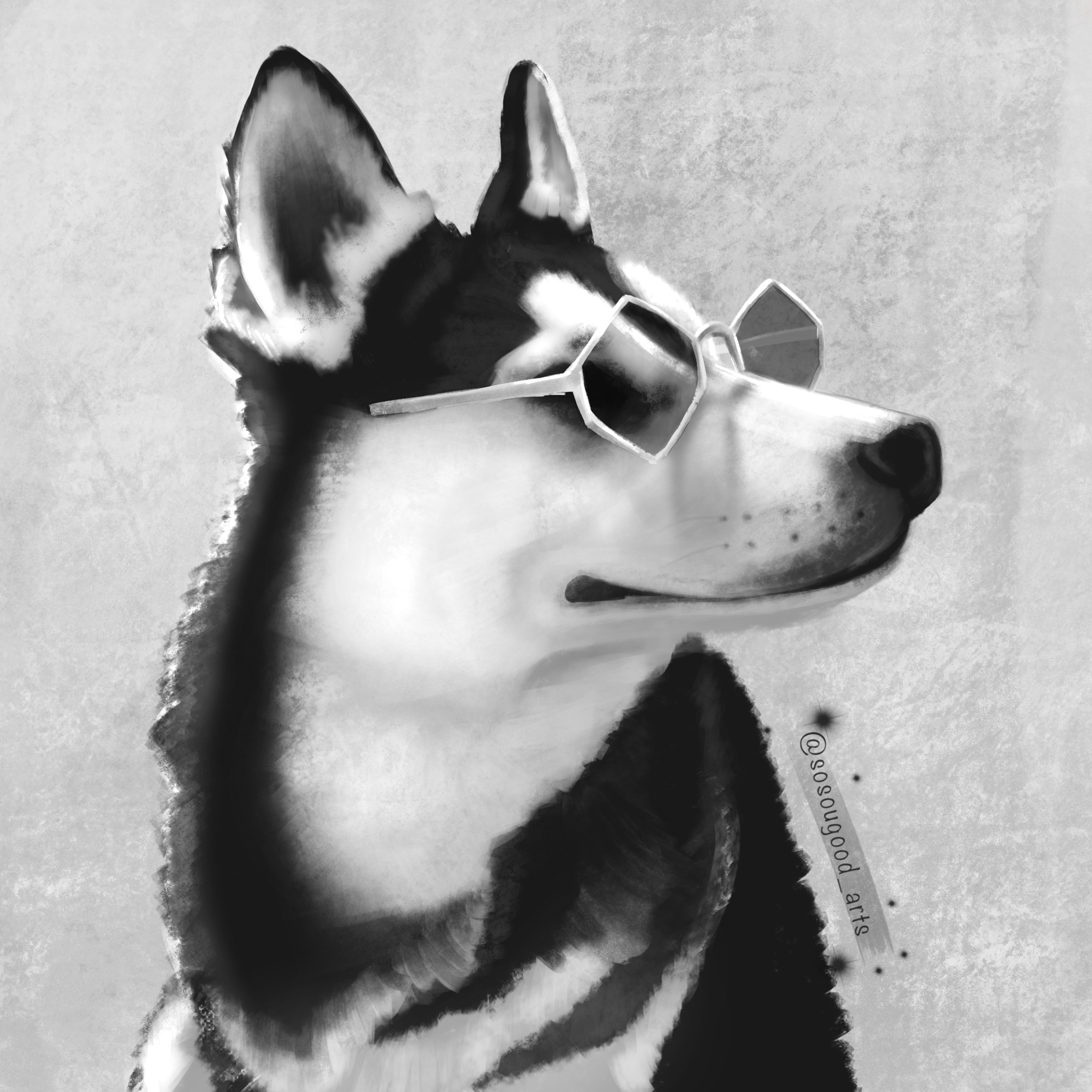 Dog 26.01.2023 1.png