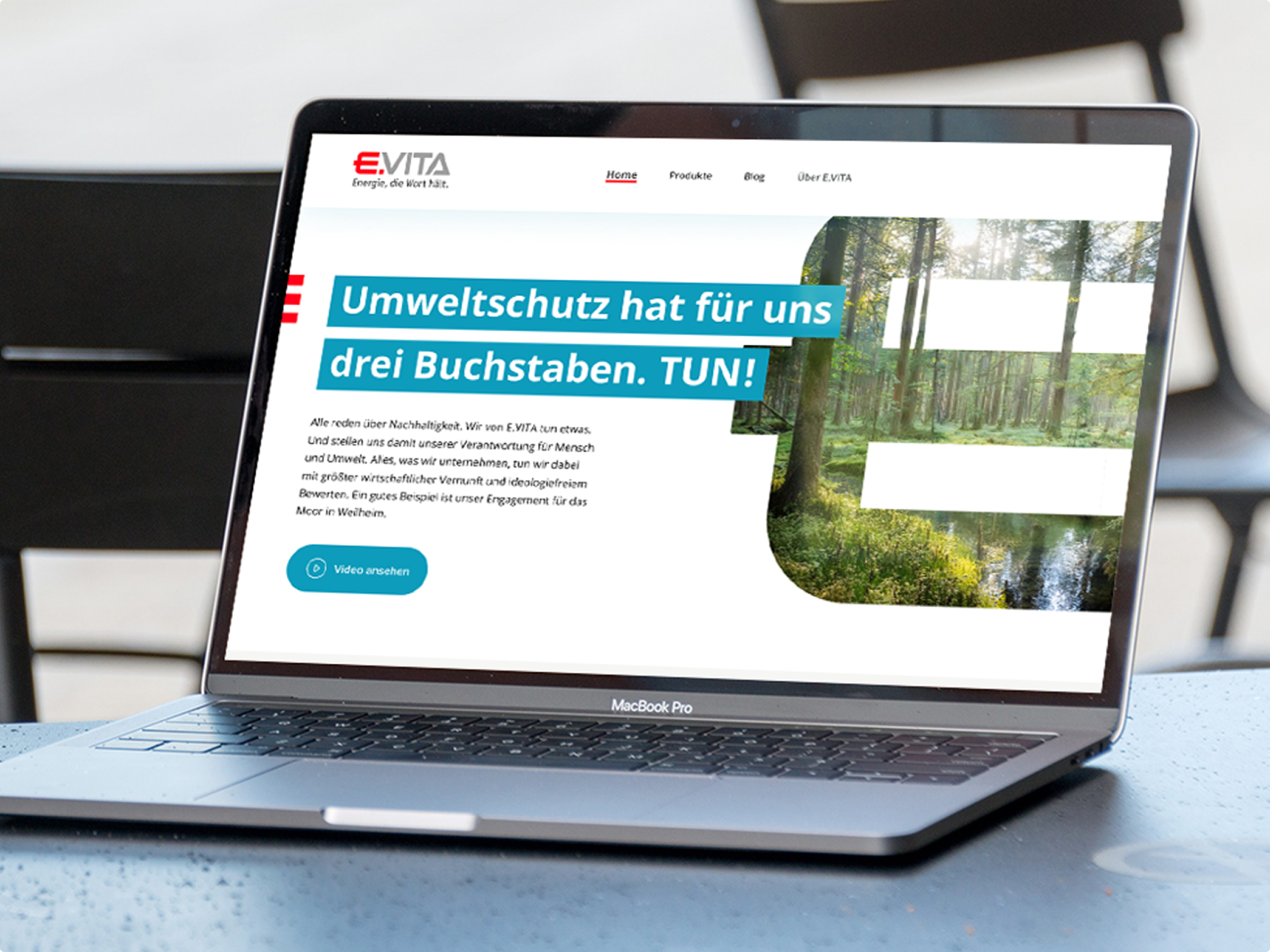 EVI_mockup_desktop_home.png