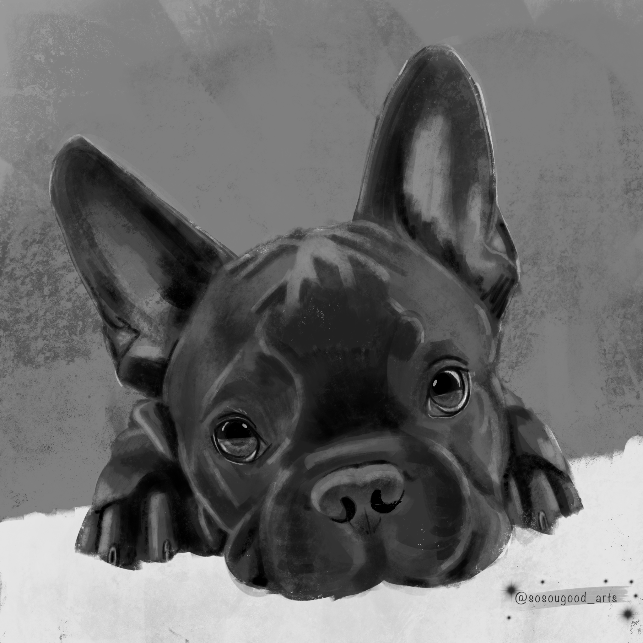 Frenchie_06122022 1.png
