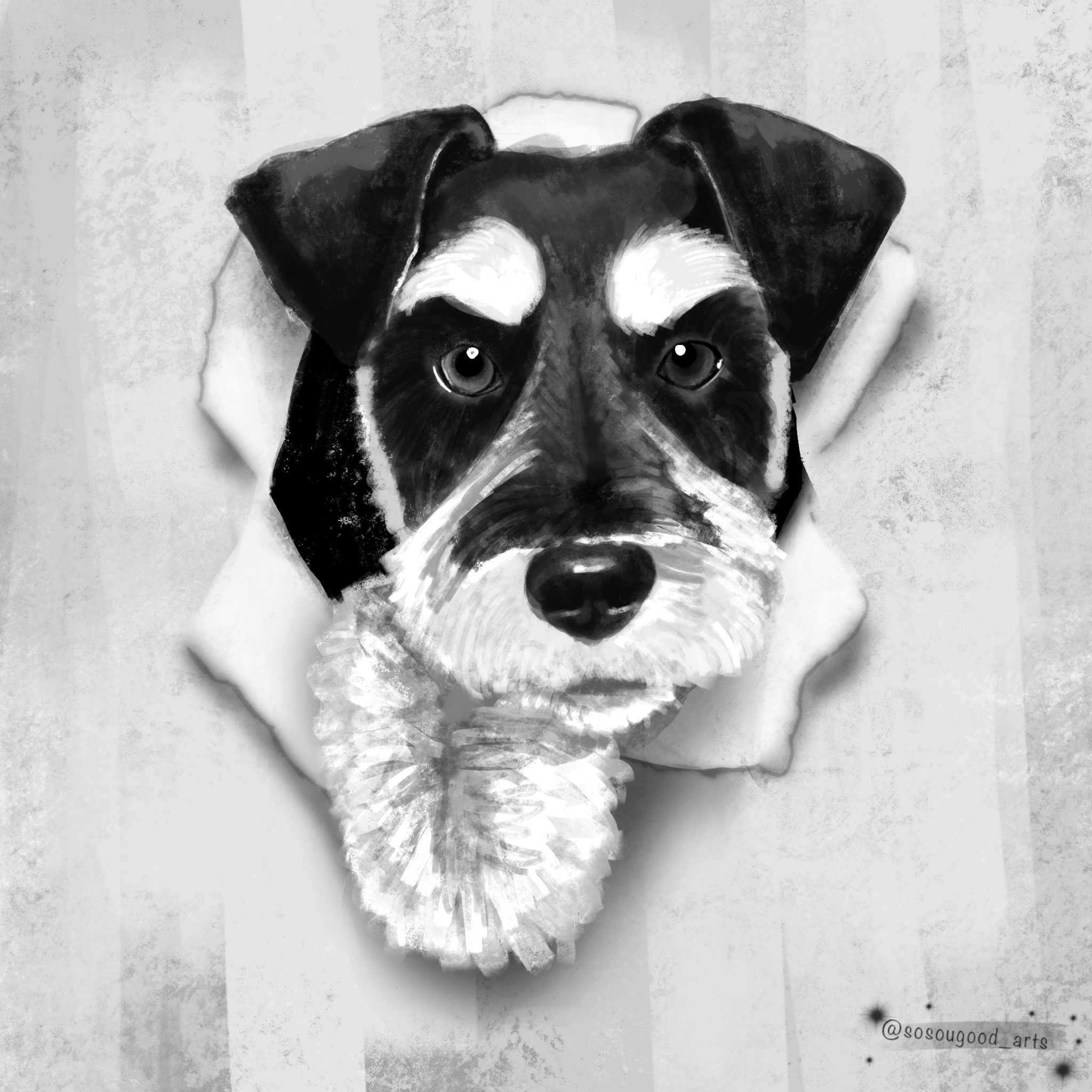 Schnauzer06122022 1.png