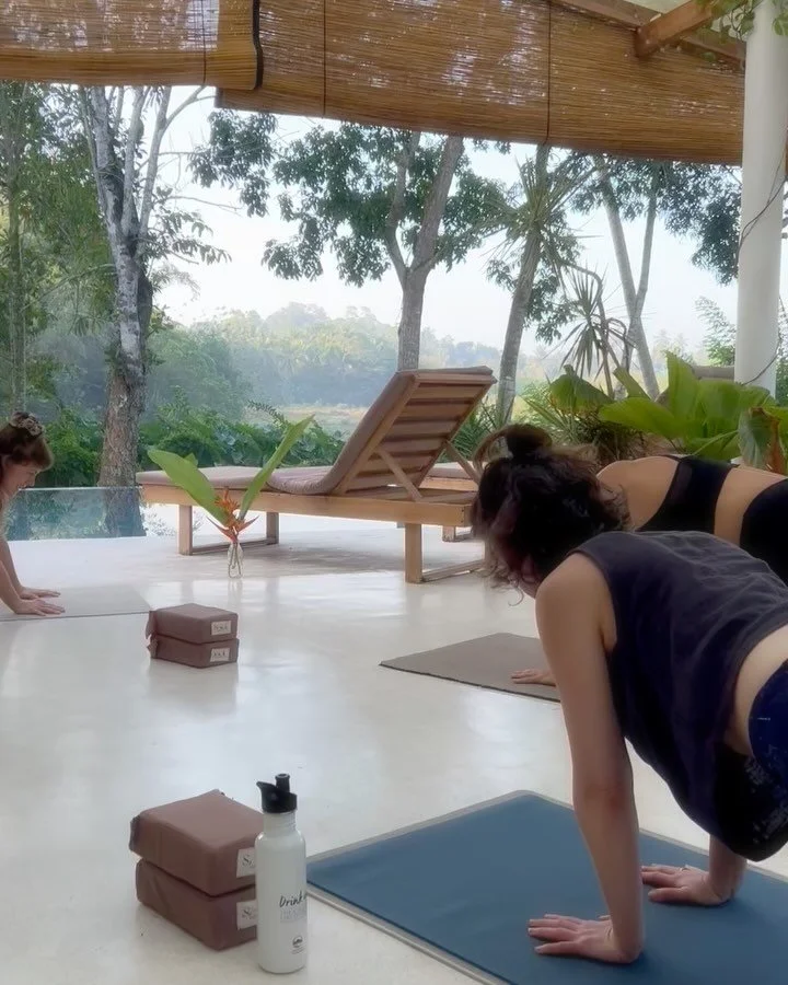 How mornings could look in 2026 🌀🌴 

Sri Lanka Women&rsquo;s Retreat 
21 - 27 Feb 
@soulhouse_srilanka 

Booking link in bio ✨

#srilankretreat #retreat #retreat2026 #yogaretreat #yogaretreat2026 #yogaretreatsrilanka #yogasrilanka