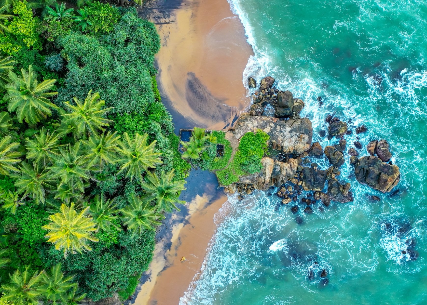 Untitled design (2).jpg