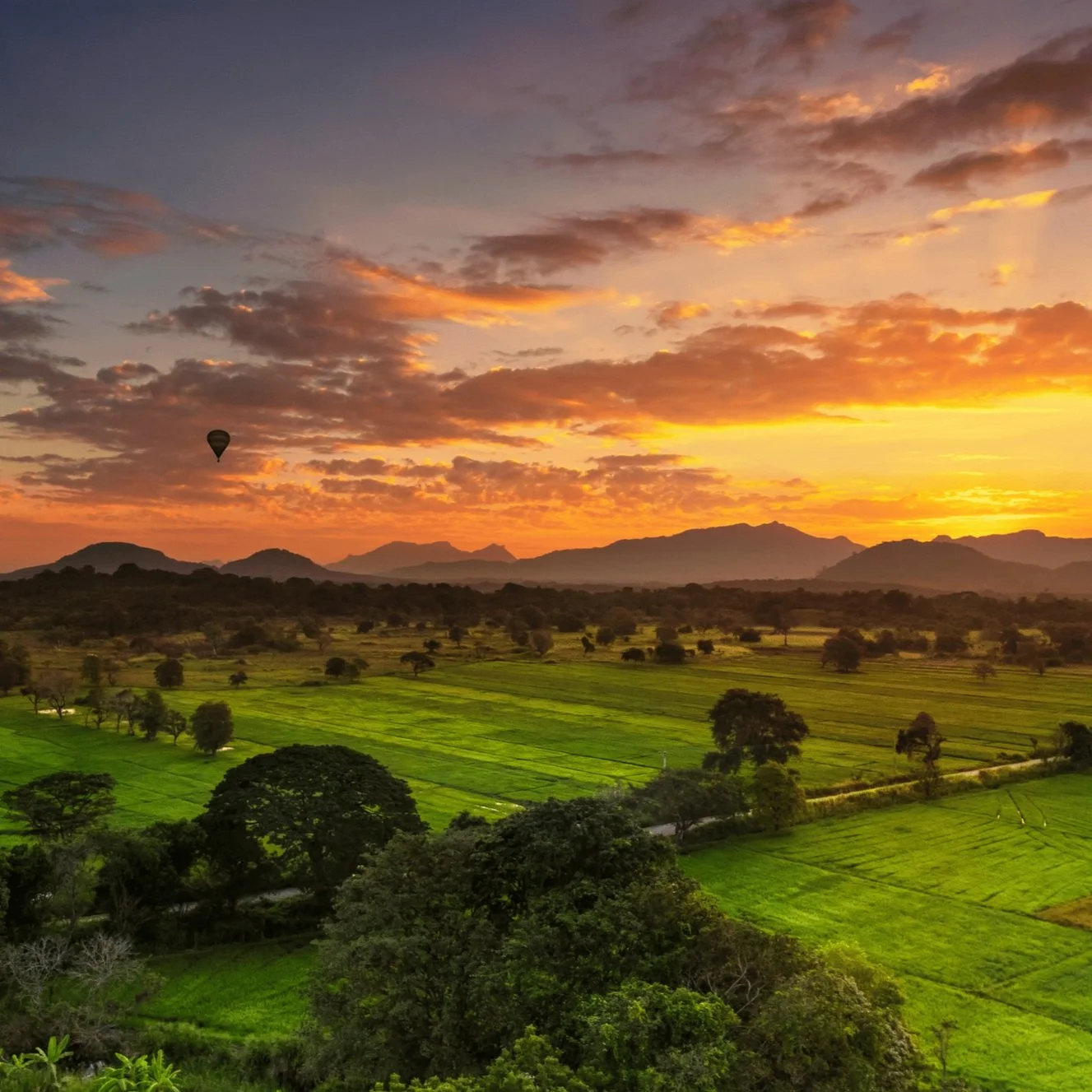 Untitled design (15).jpg