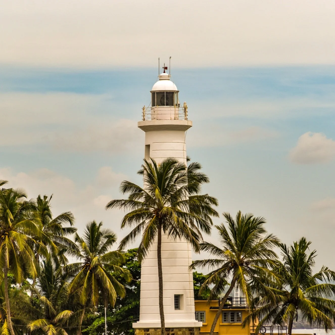 Untitled design (12).jpg