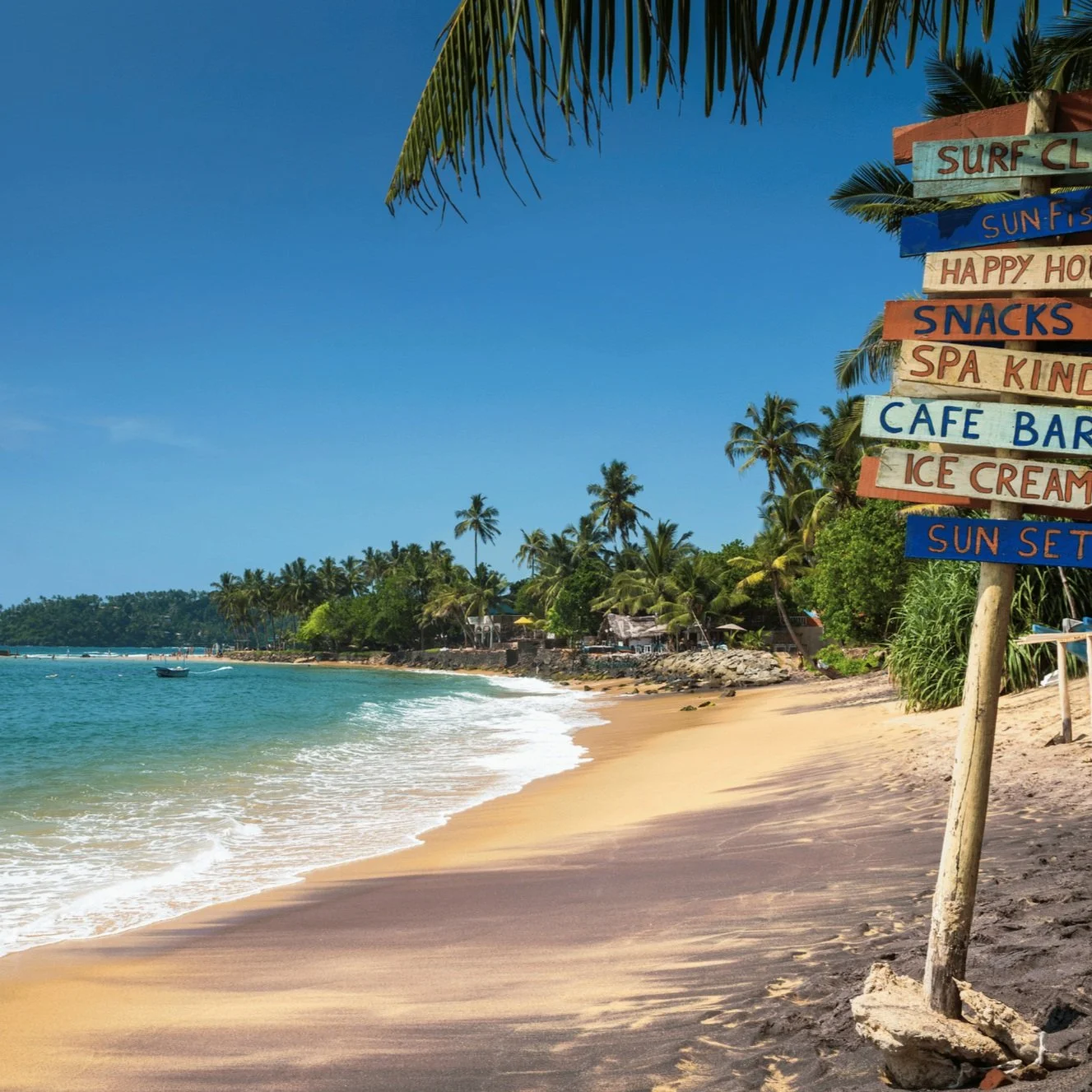 Untitled design (16).jpg