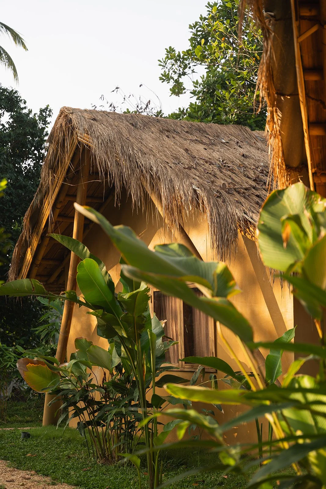 Sri Lanka Yoga  Retreat