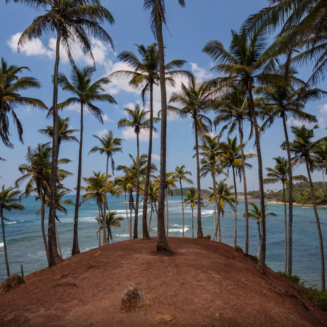 Untitled design (11).jpg