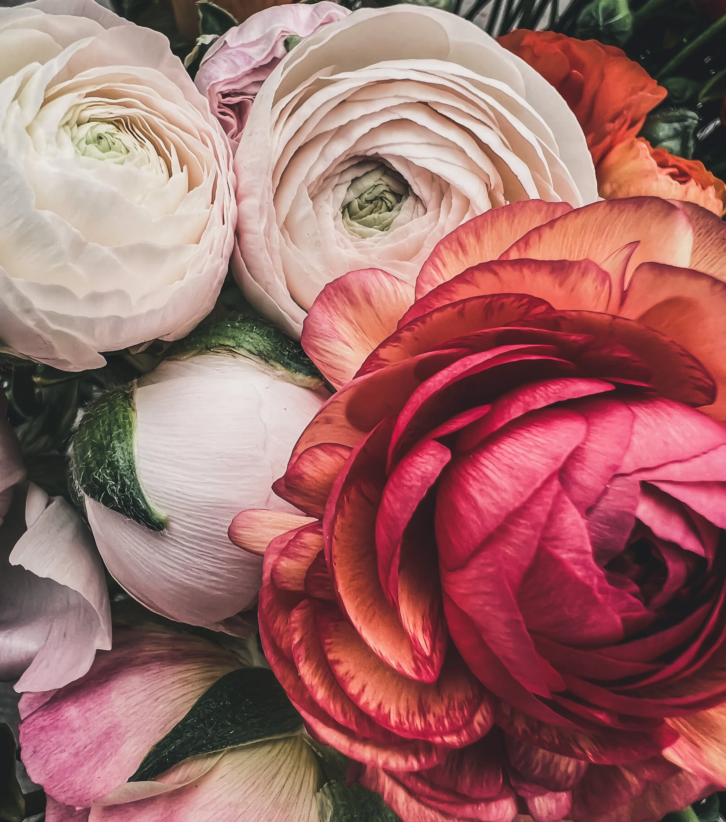 8-Week Deluxe Spring Flower Subscription